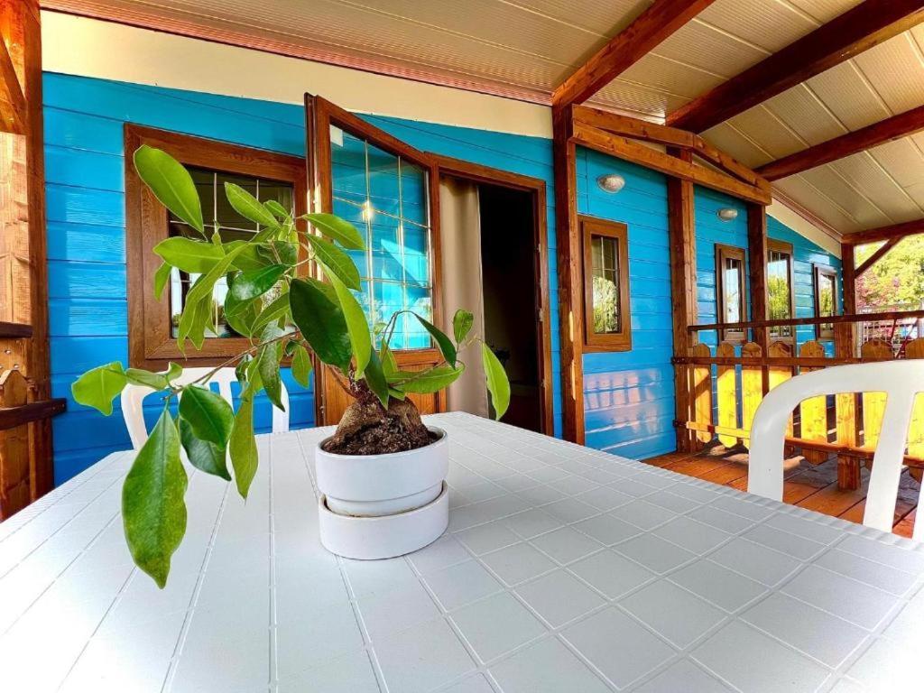 Camping Village Tuscia Tirrenica Tarquinia Luaran gambar